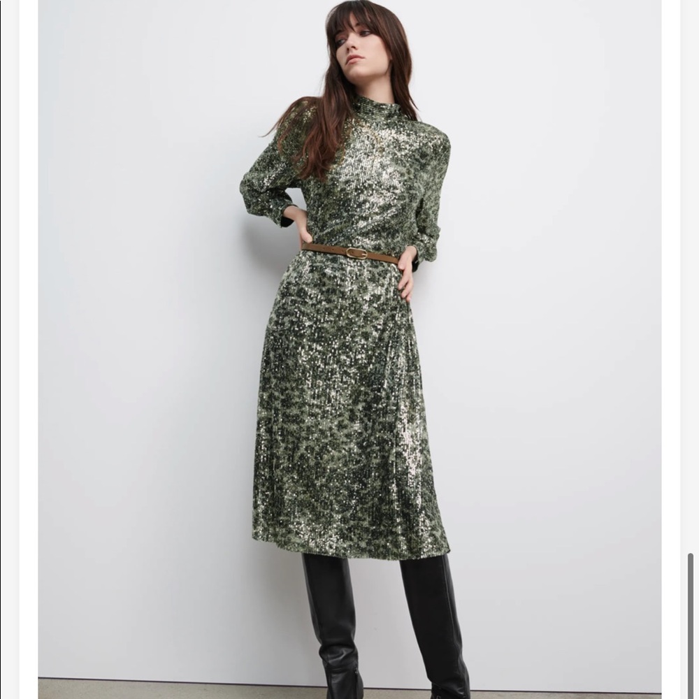 NWT Zara Belted Sequin Midi Dress